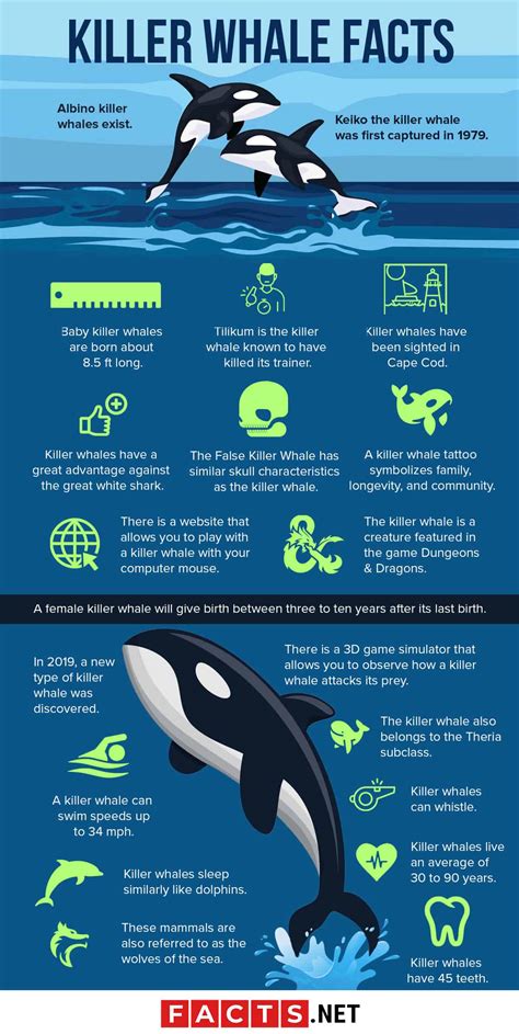 Fun facts about whales. Things To Know About Fun facts about whales. 